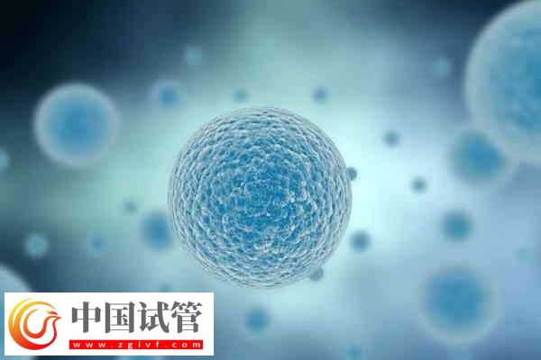 海口试管哪家成功率比较高