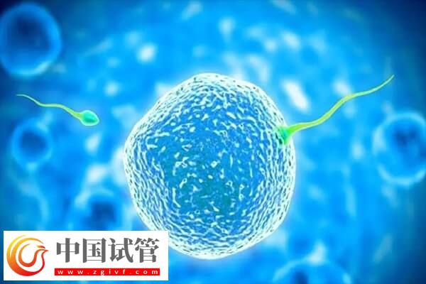试管婴儿移植失败是怎么回事(图2) 试管婴儿移植失败是怎么回事(图2)