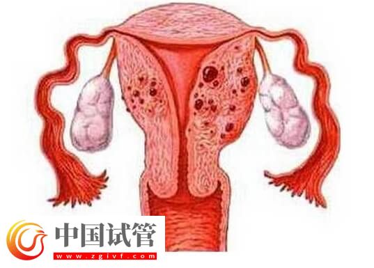 始基子宫融合后可不可以生孩子