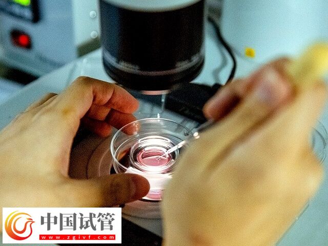 濮阳市妇幼保健院生殖科韩玉芬怎么样