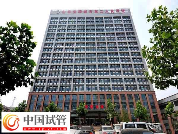 聊城无卵试管婴儿医院有哪些