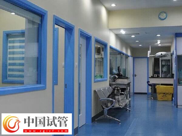 大连不孕不育哪家医院医得最好的