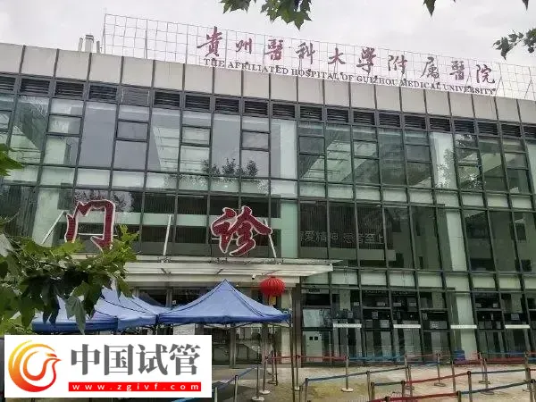 贵州医科大学附属医院供卵试管婴儿费用多少