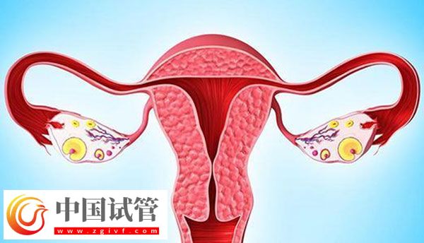 输卵管阻塞怎么治疗？输卵管阻塞需要做试管婴儿吗？(图1)