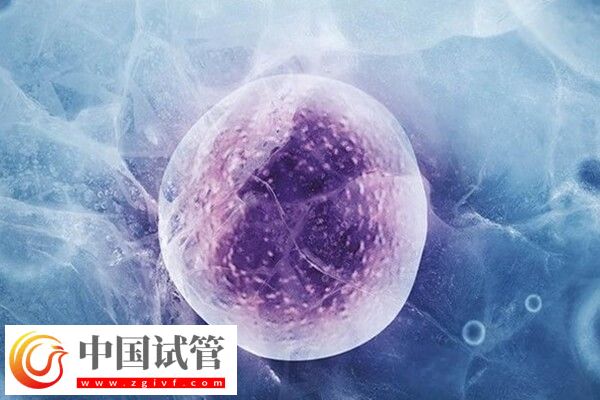 试管移植前降调是啥意思
