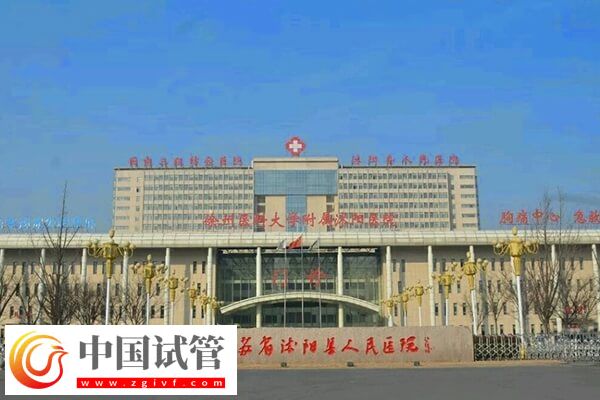 沭阳人民医院试管婴儿成功率怎么样